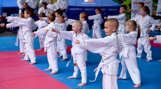 Zdjęcie 5 - Puchar Małych Mistrzów w Karate Tradycyjnym