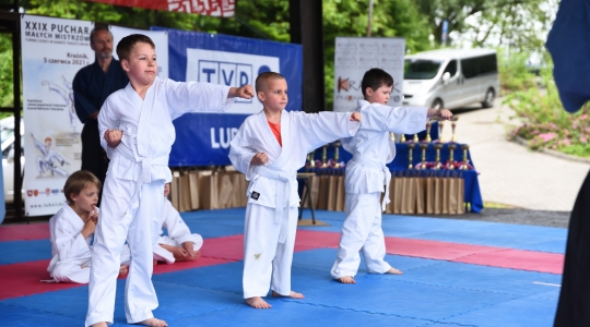 Zdjęcie 13 - Puchar Małych Mistrzów w Karate Tradycyjnym