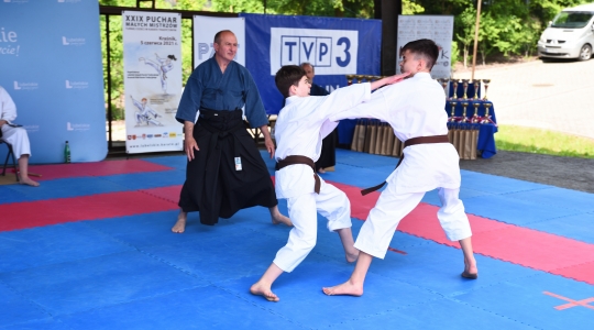 Zdjęcie 14 - Puchar Małych Mistrzów w Karate Tradycyjnym