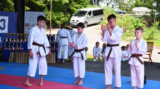 Zdjęcie 17 - Puchar Małych Mistrzów w Karate Tradycyjnym