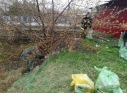 Zdjęcie 18 - Operacja Czysta Rzeka w Kraśniku