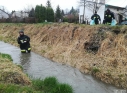 Zdjęcie 24 - Operacja Czysta Rzeka w Kraśniku